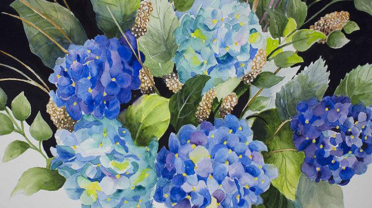 Hydrangeas in Blue, watercolor, 16x19