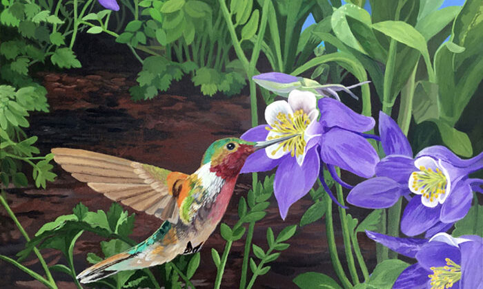 Hummingbird with Purple Columbines, acrylic on canvas, 20x16 by Judy Hatlen