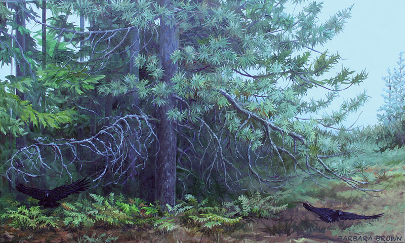 Huginn & Muninn, oil on canvas, 18" x 30" by Barbara Brown