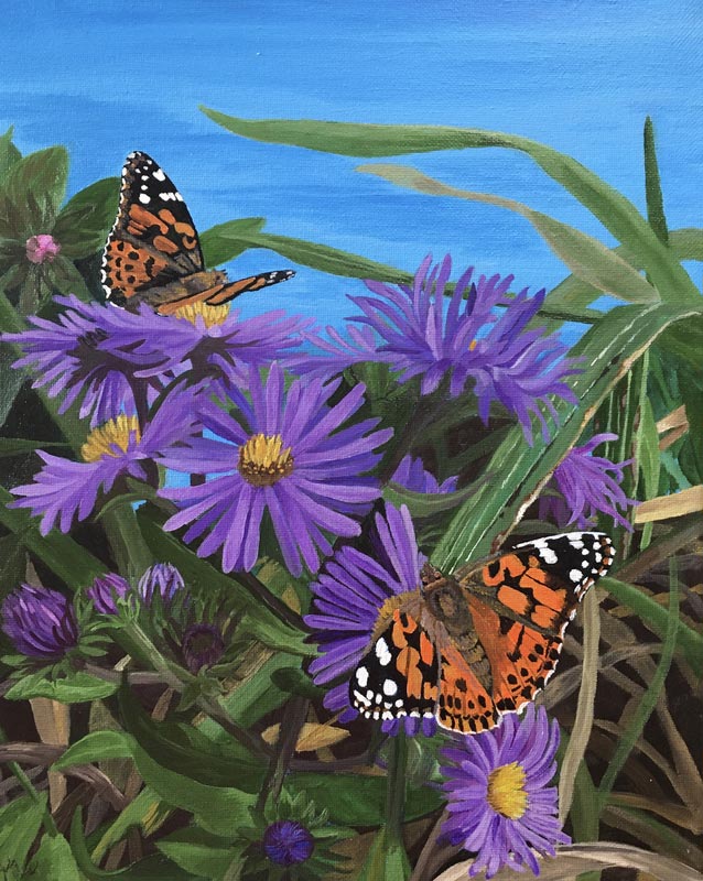 Painted Lady Butterflies, acrylic on canvas, 11" x 14"