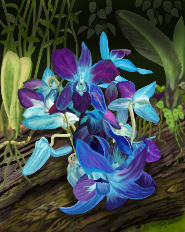 Blue and Purple Orchids, digitally painted, 12x16