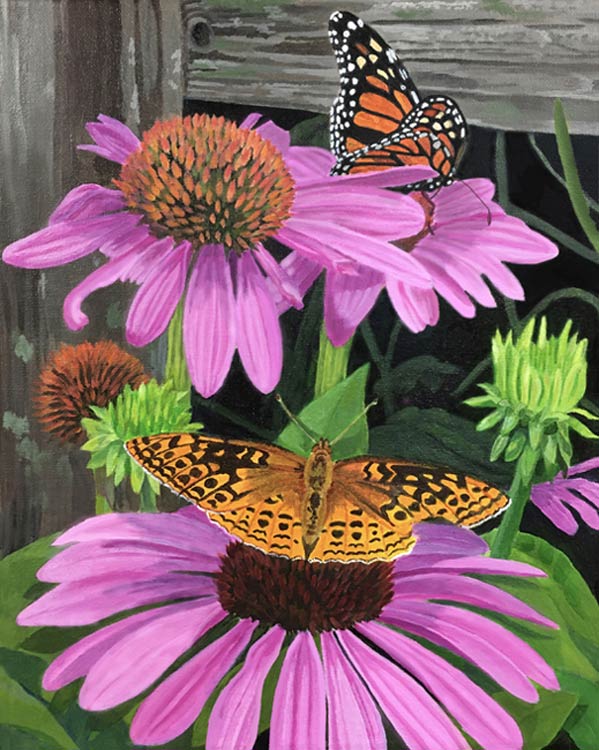 Butterflies at the Coneflower Buffet, acrylic on canvas, 11" x 14"