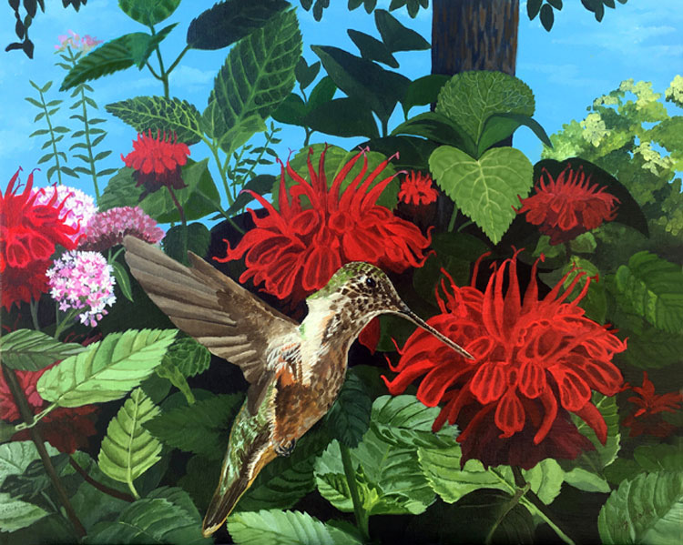 Hummingbird with Red Beebalms, acrylic on canvas, 20" x 16"